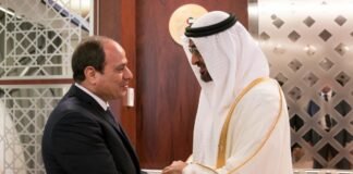 العلاقة بين السيسي وبن زايد ليست في أحسن أيامها